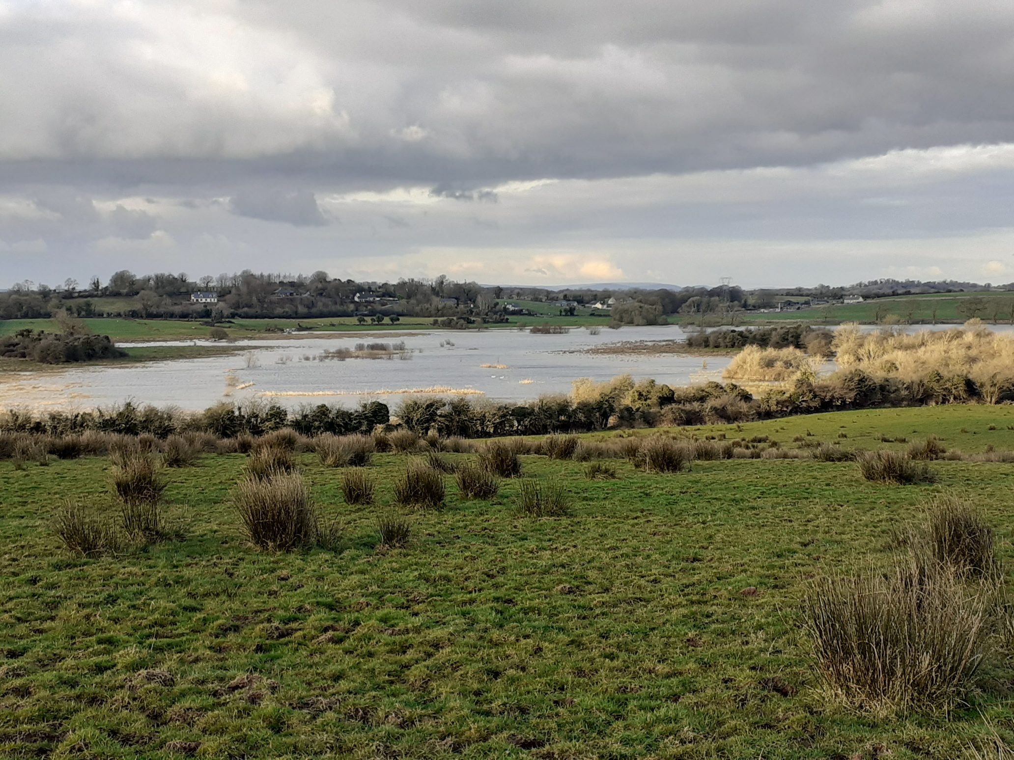 Ballyallia Lake in winter